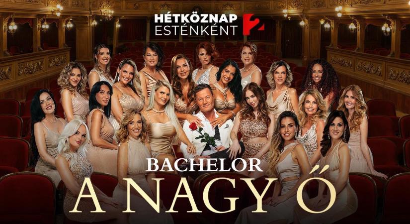 Hascsikarás a könyvtárszobában – A Nagy Ő