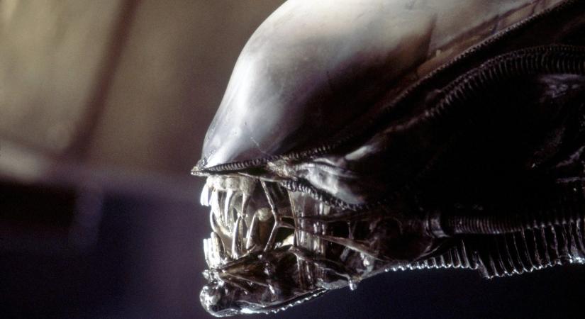 Az Alien franchise egyik „legzordabb és legsötétebb” történetét kapjuk meg egy készülő képregénnyel