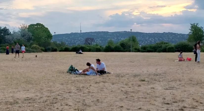 Országszerte azzal kísérleteznek, hogyan lehetne kicselezni a klímaváltozást