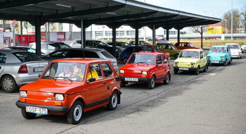 Kispolszkik randevúztak Valentin napon Győrben - XXL galéria