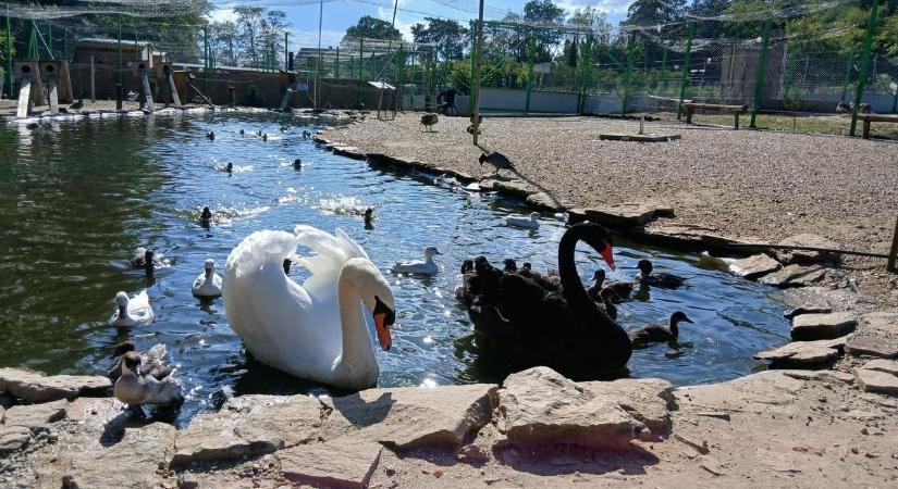 Készen állsz egy szívdobogtató kihívásra? Engedj a csábításnak!