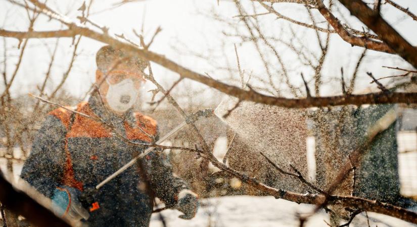 Tél végi lemosó permetezés: mikor érdemes februárban, és mikor tilos?