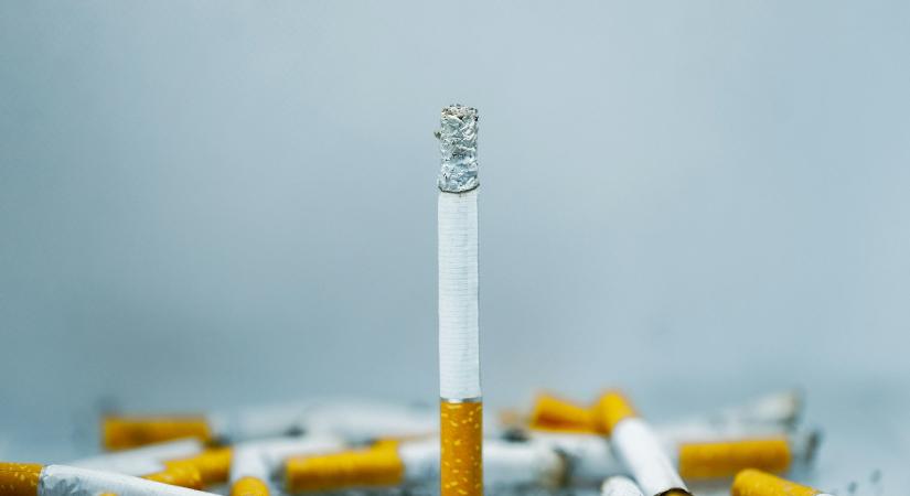 Borsos Bence kisprózája