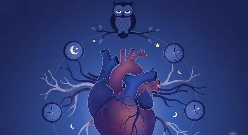 Éjszakai bagoly? Jelentős veszély fenyegeti a szívét