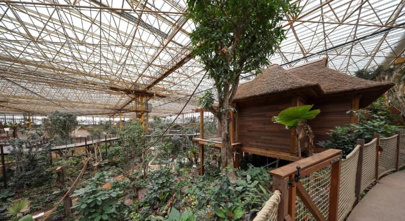 Dzsungel Európa közepén: megmutatjuk a világ legnagyobb trópusi üvegházát – galéria