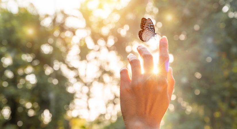 4 csillagjegy, akire rámosolyog a szerencse a közeljövőben