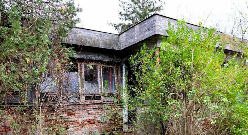 Mintha megállt volna az idő: így rohad szét az elhagyott maroslelei telep (galériával)