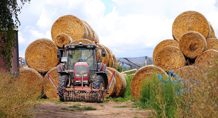 Szénabála végzett egy gyerekkel egy erdélyi faluban