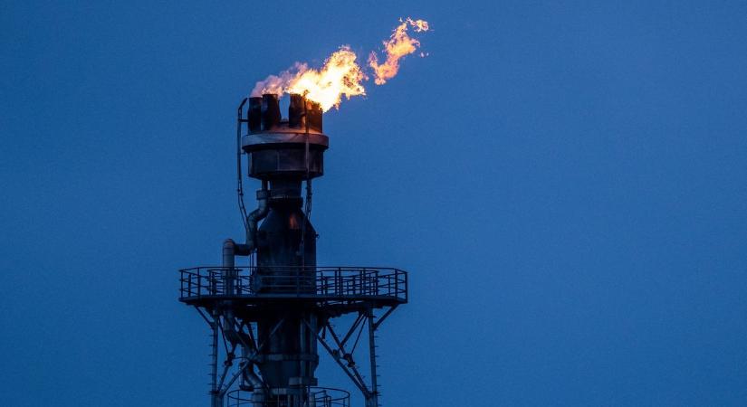 Mesterséges intelligencia és az olajszektor küzdelme: meglepő, de most utóbbi vezet