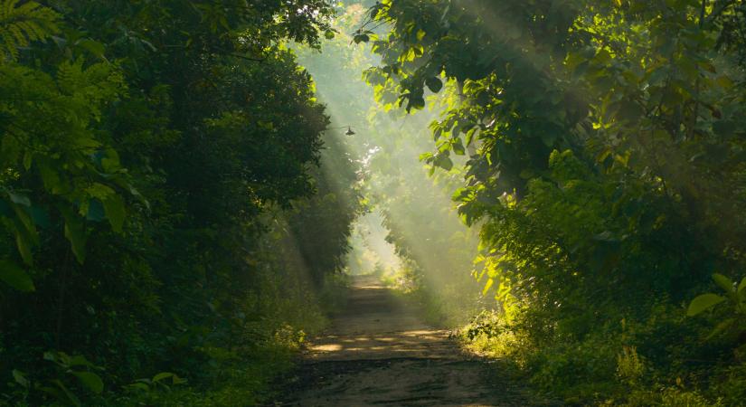 Izgalmas, mire készülnek több száz hektárnyi területen Magyarországon