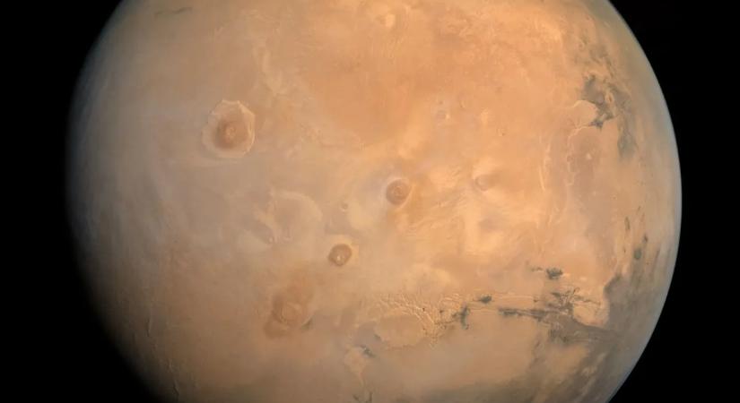 Lehet, hogy mégsem halunk ki? Ezek a mikrobák menthetik meg az emberiséget