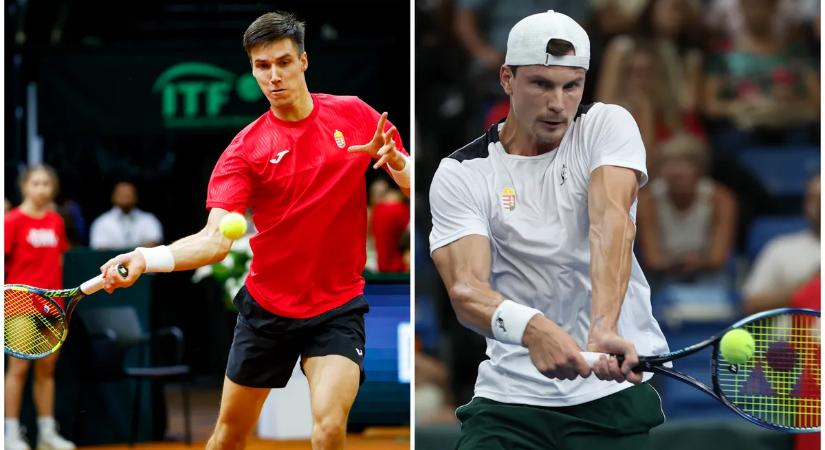 Marozsán Humbert-rel, Fucsovics libanoni ellenféllel játszik a dohai tenisztorna első fordulójában