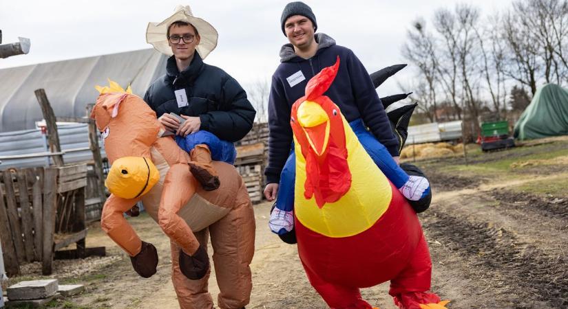 Ő vitte a prímet az állatok farsangján – a gyerekek rajongtak érte!  fotók