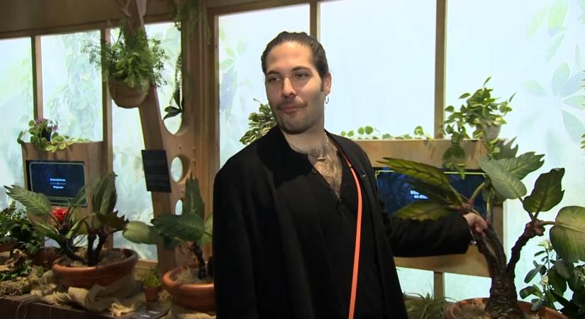 Patrónusválasztás és kviddics – így kel életre a Harry Potter világa Szentendrén