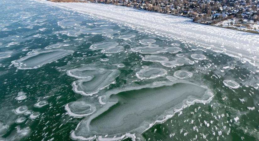 Most érkezett: már a Balatonnál is pusztít a madárinfluenza, sorra hullanak el az állatok