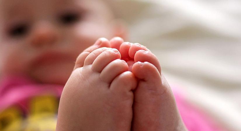 Több mint kilencszáz kérelem érkezett a gyermektartásdíj miatt