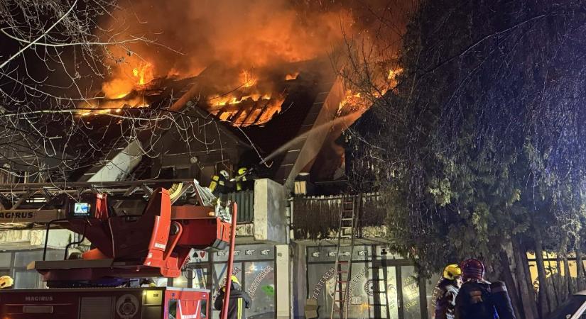 Budakeszi tűzvész: megdöbbentő részletek láttak napvilágot