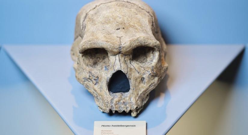 Emberi koponya ágyazódott ennek a barlangnak a falába