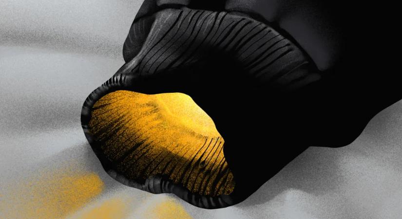 Borda Réka: A lány, aki fénylett