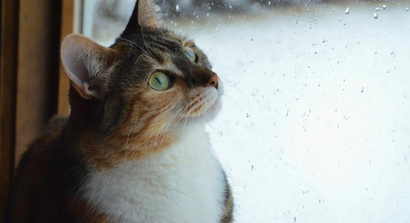 Sokan meglepődnek ma azon, hogy milyen idő lesz odakint