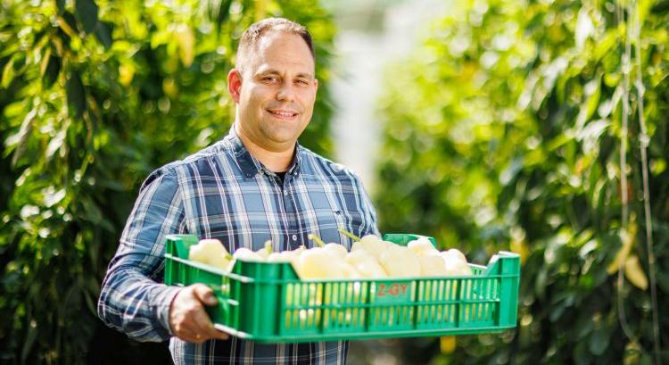 A kertészet nem egy magányos játék