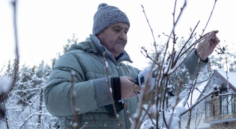 Ez már nekik is sok volt? - Így viselték az idei nem semmi telet a kertek nagy túlélői