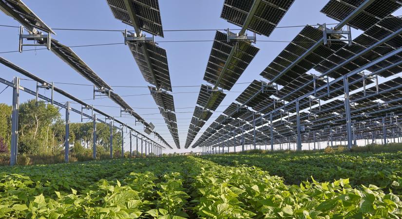 Egyetlen rendelettel meg lehetne oldani a napelemek legnagyobb problémáját, de hiányzik az akarat