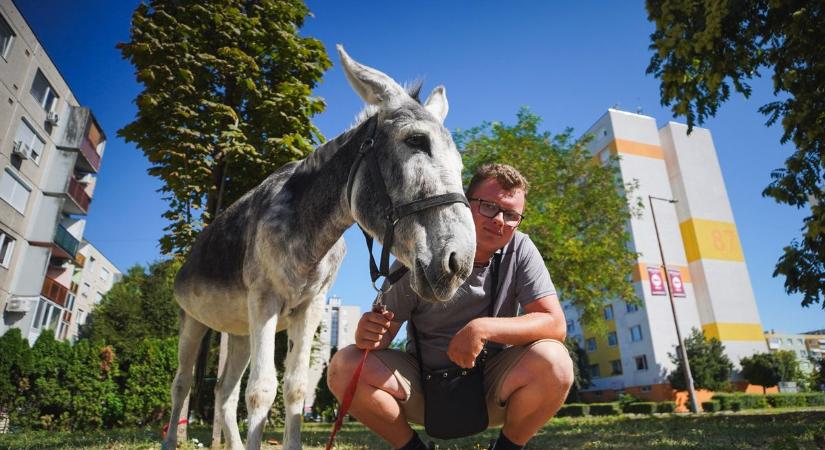 Sokan gyászolják Fülest, de a tragédia oka továbbra is ismeretlen