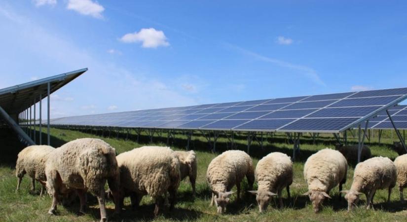 Így termelt áramot Magyarország 2025-ben