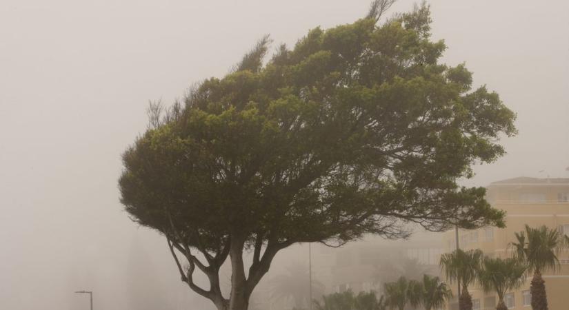 Brutális, orkánerejű széllökést mértek reggel Magyarországon