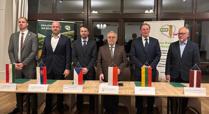 Minden borulhat, de a V4-ek a megoldást keresik