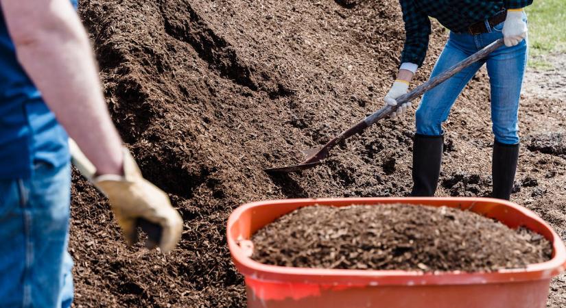 A kert igényli a tápanyagpótlást, most jön el az ideje