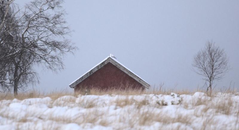 Zenga.hu: éledezik a lakáspiac