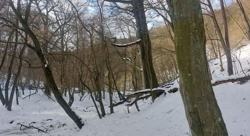 Az elmúlt 15 évben csak a 2017-es január volt hidegebb - óriási széllel tört be vasárnap a hidegfront