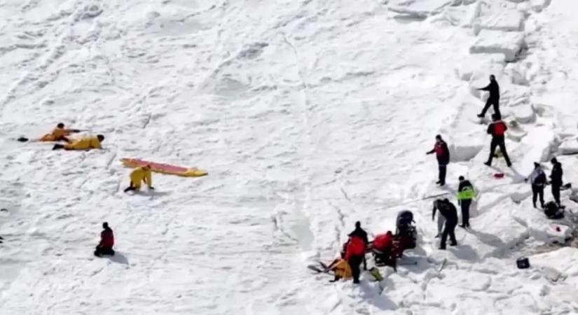 Egy kutya miatt riasztották a rendőröket, majd szörnyűségre derült fény