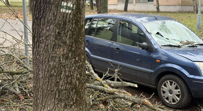Fákat csavart ki a szélvihar Keszthelyen
