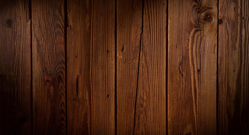 Fontos tudnivalók az EUTR-regisztrációval kapcsolatban