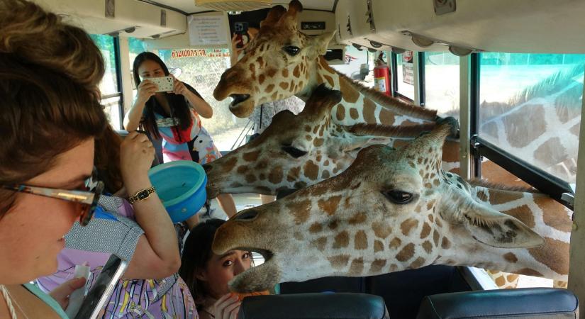 Ha megmondod, hova utazol, megmondom, melyik generációhoz tartozol