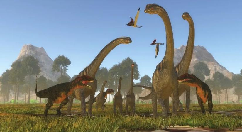 Horrorisztikus mészárlásról árulkodnak a nemrég felfedezett fosszíliák