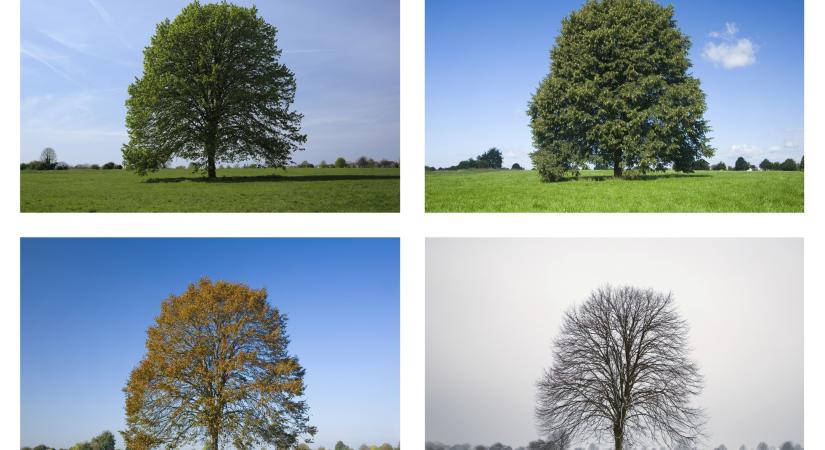 Ez az egyetlen kérdés elárulja, milyen ember vagy valójában