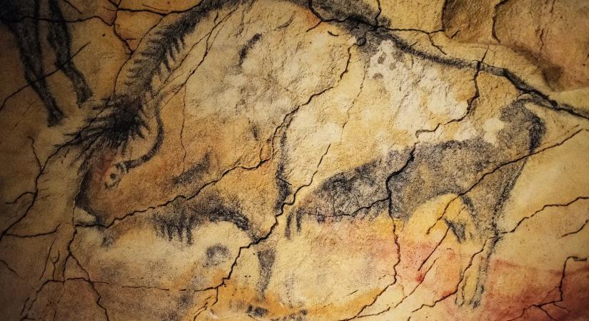 Hogyan éltek a neandervölgyiek?