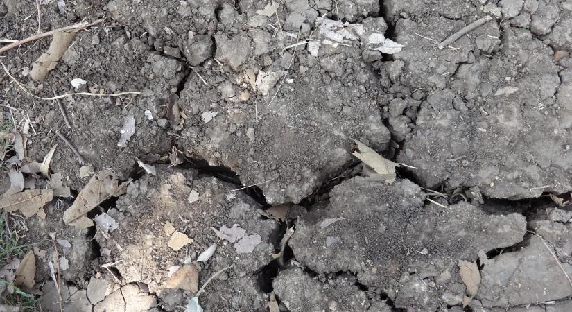 Ukrajna talajainak válsága és a földpiac helyzete