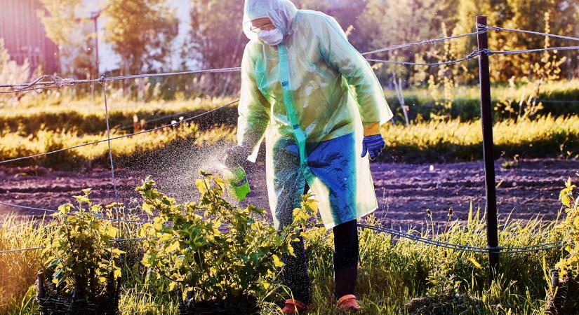 Gyakorlati útmutató: segítség érkezett a gazdáknak az inváziós fajokkal szembeni harcban