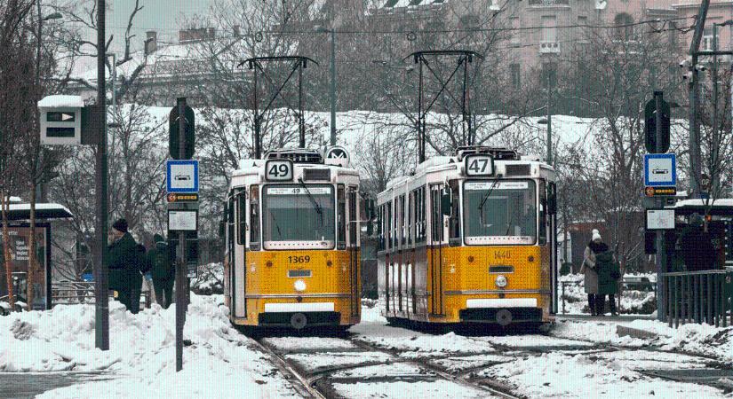 Magyar kutatásból derül ki, hogy a hideg vagy a meleg okoz inkább szívmegállást