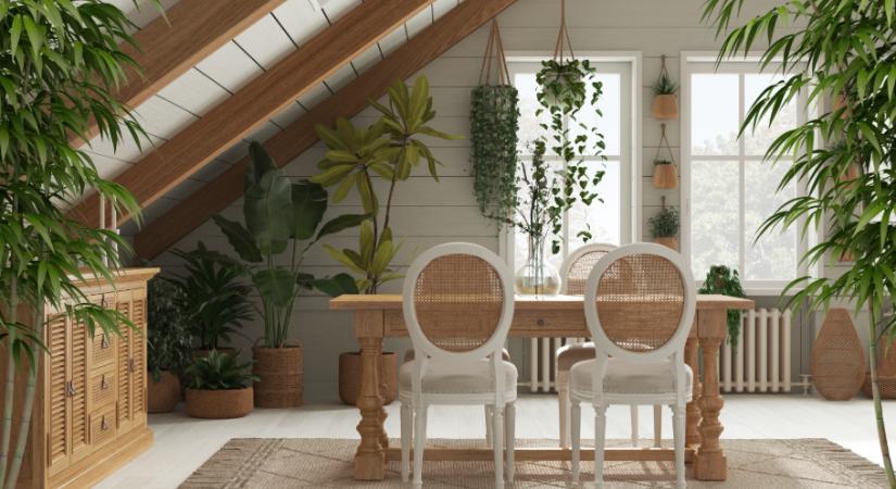 5 gyors és egyszerű tipp, hogy kiűzd a negatív energiákat az otthonodból