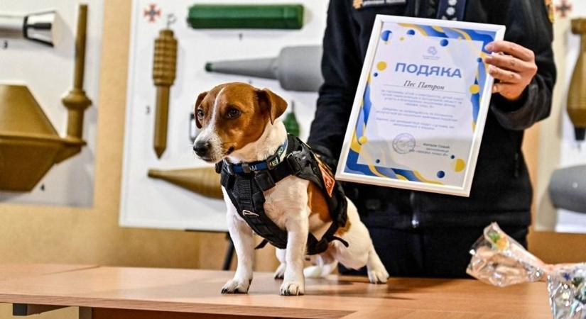 Ez a mélypont: a NATO főtitkárát egy ukrán kutya győzte meg, hogy folytatni kell a háborút az oroszok ellen - "Azt mondta nekem, sose adják fel"