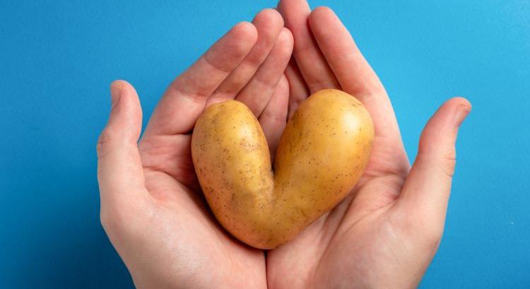 Holland példa: mikor lesz divat a „csúnya” zöldség?