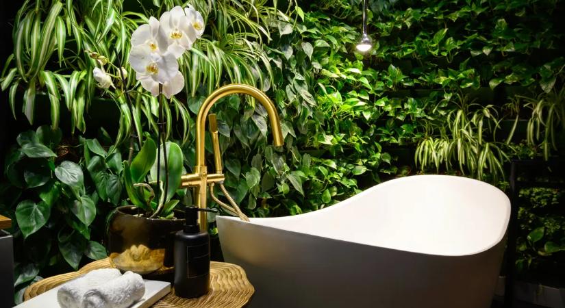 Ezek a fürdőszobai növények a legjobb választások, ha dzsungelt varázsolnál a lakásba