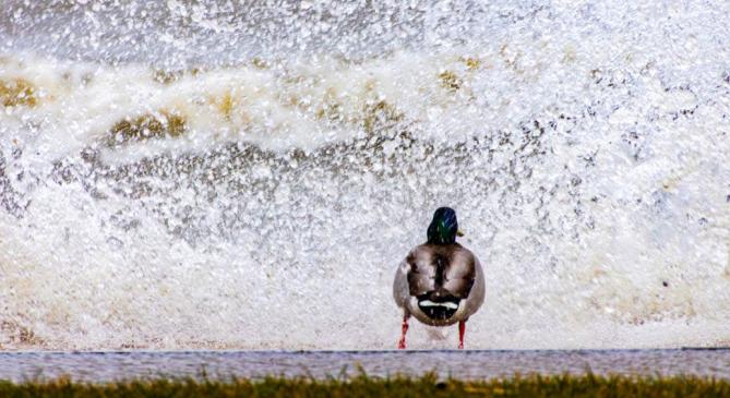 Visszaugrottunk a télbe