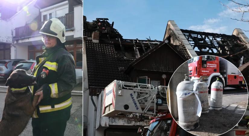 „Hallottam, ahogy valaki a mélybe vetette magát” – Gábor elmesélte, hogy élte túl a budakeszi tűzvészt